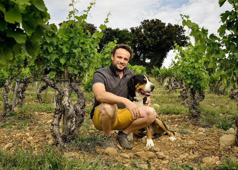 Florent Lançon Domaine de la Solitude winemaker producer Florent Lançon Domaine de la Solitude winemaker producer