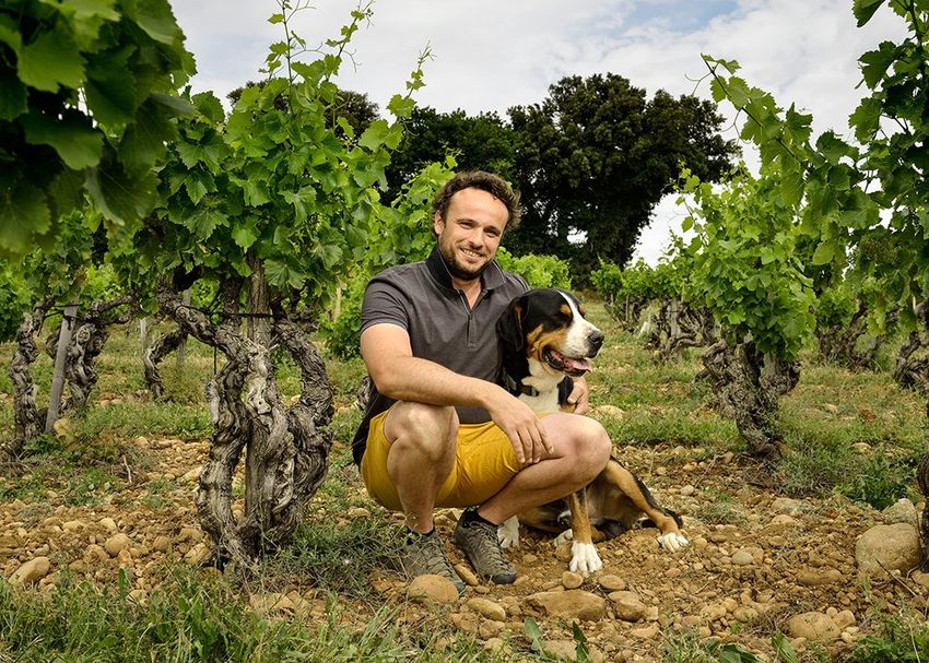 Man crouching with dog in Domaine de la Solitude vineyard. Wearing gray shirt, yellow shorts.