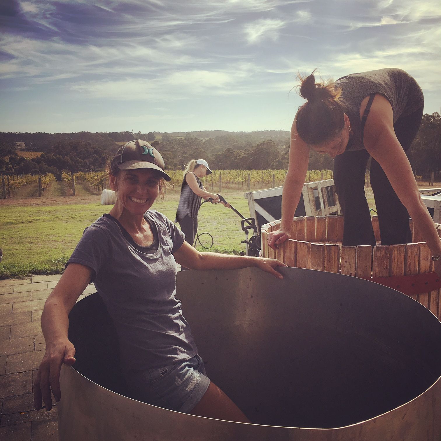 Harvest workers preparing grapes during winemaking at a vineyard.
