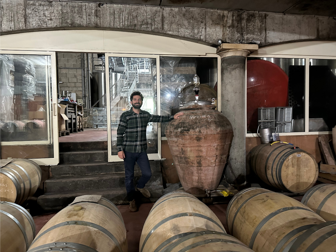Château Haut Grelot winemaker in the cellar with clay amphora and oak barrels.