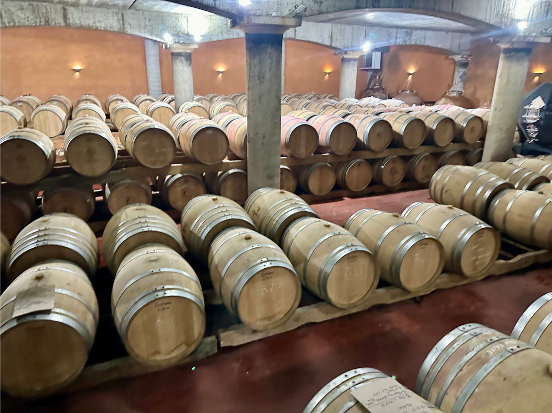 Oak barrels aging wine in the underground cellar at Château Haut Grelot.