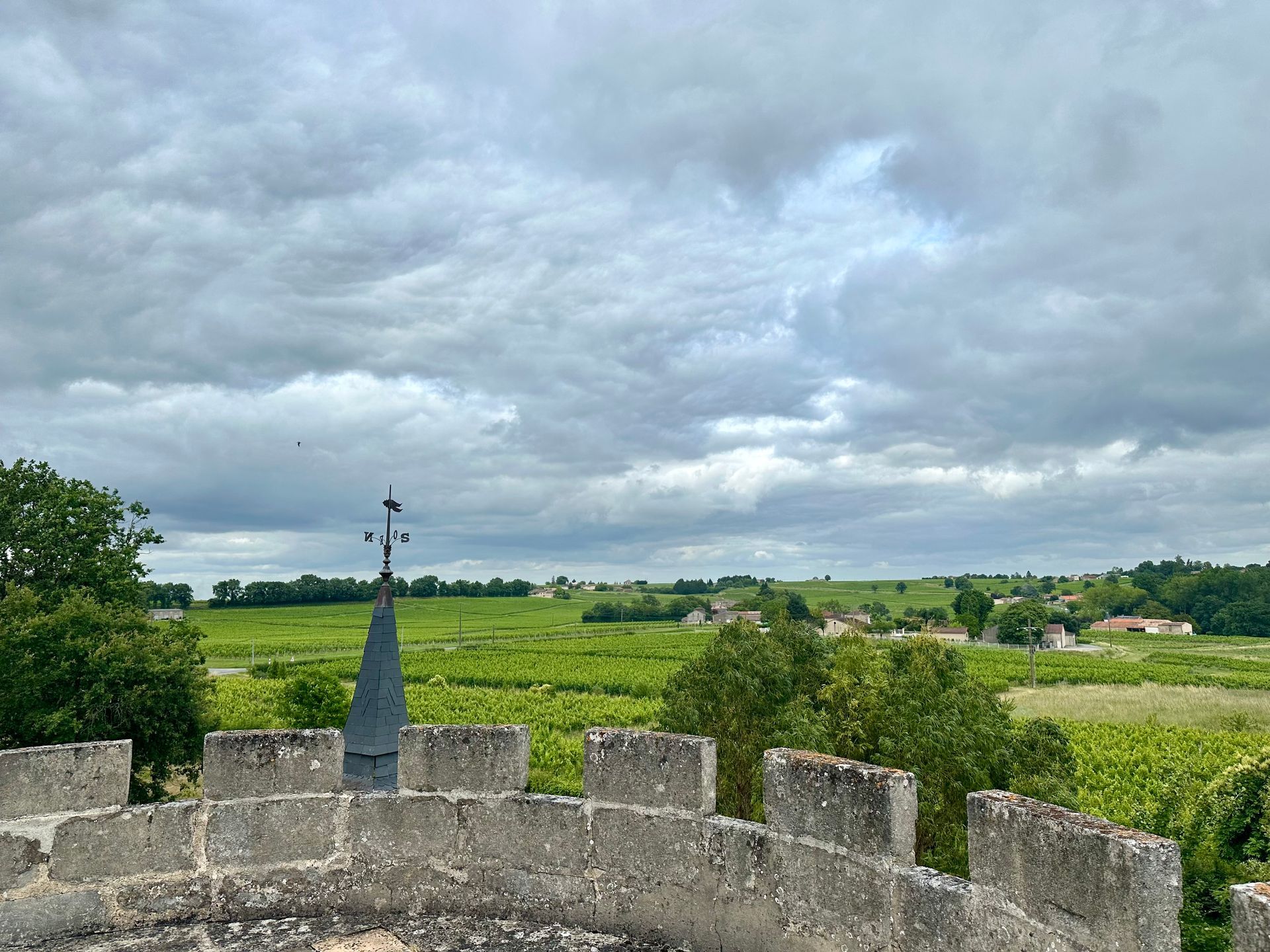 View from a stone tower over a vineyard.