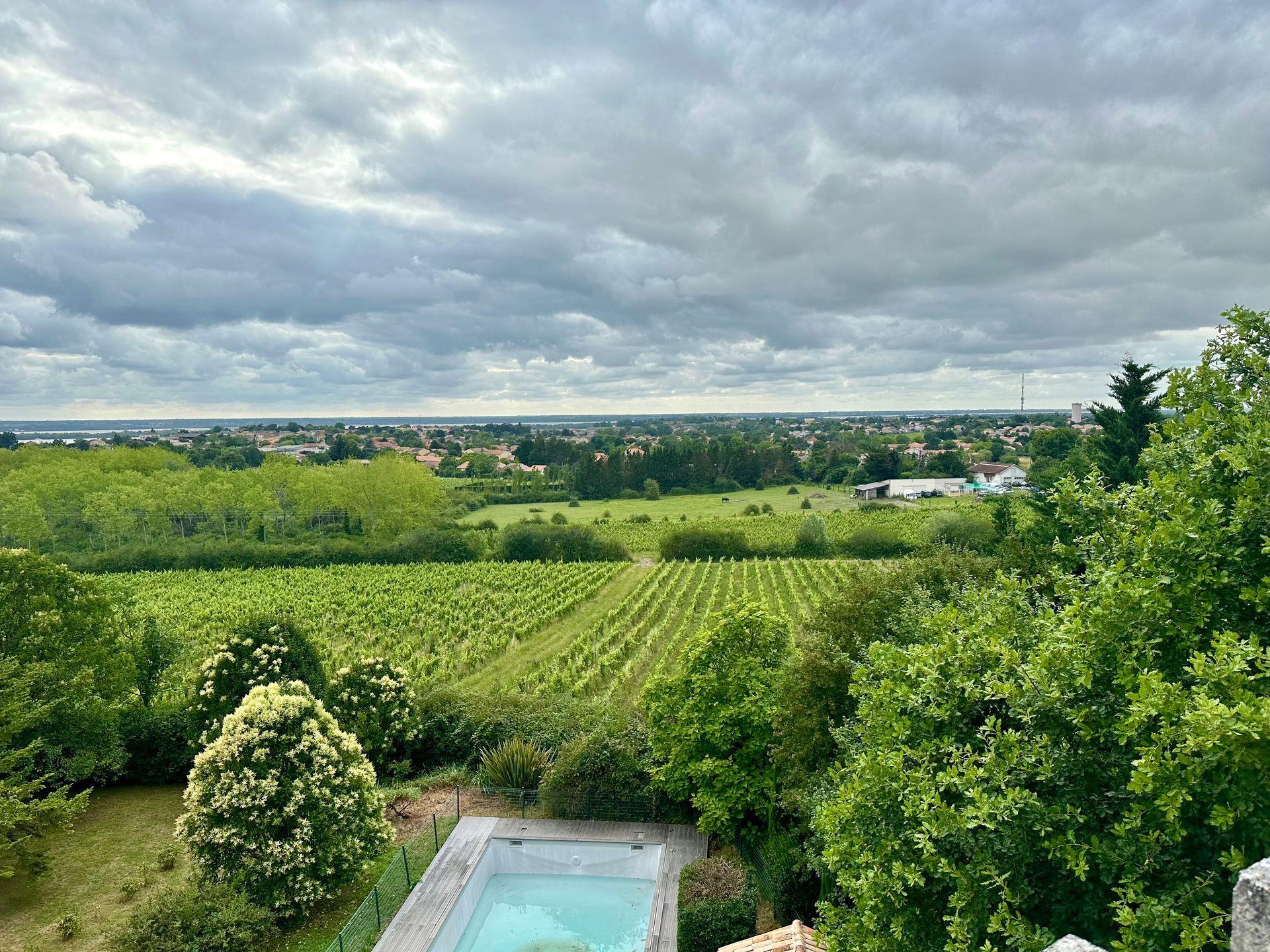 Peybonhomme-les-Tours - Overlooking vineyard with rows of green vines, trees, and cloudy sky. A pool is in the foreground.