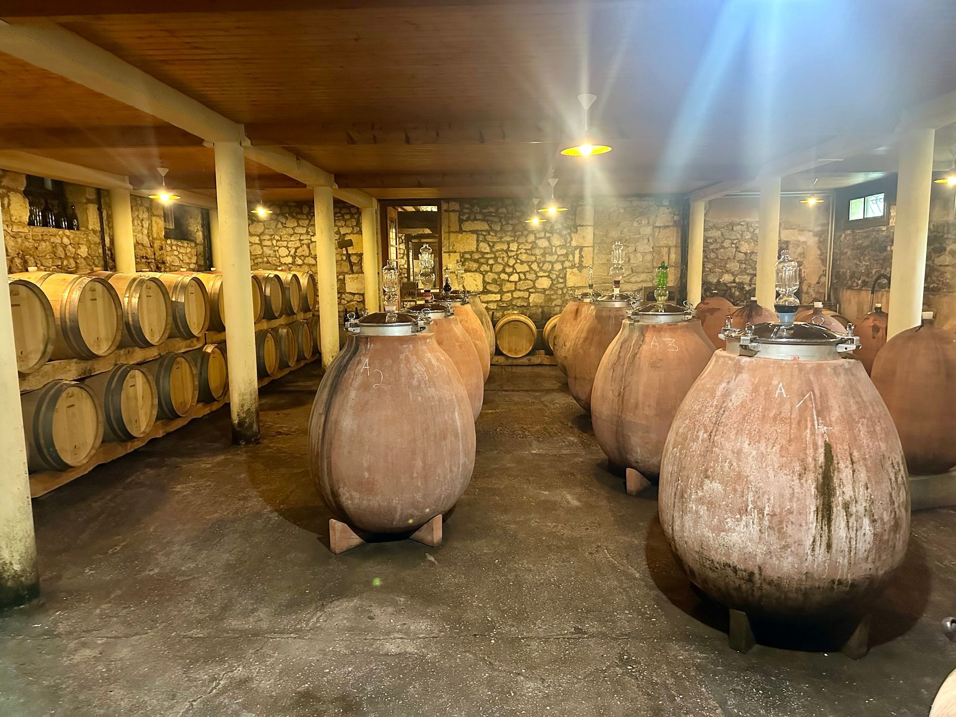 Peybonhomme-les-Tours - Wine cellar with clay amphorae and wooden barrels, stone walls and ceiling.