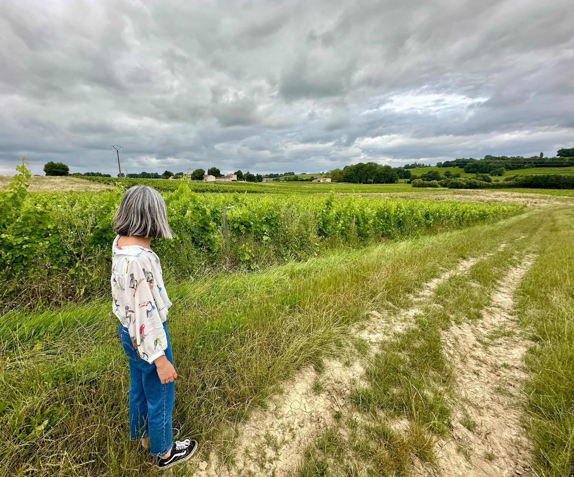 Peybonhomme-les-Tours - A Person standing in a vineyard, looking at the rows of green grapevines. Overcast sky.