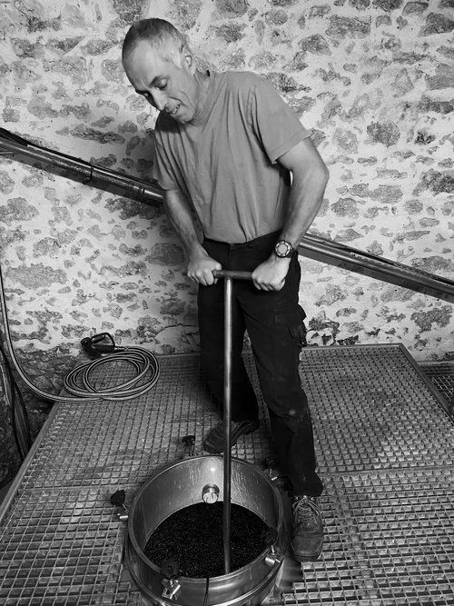 Man pressing grapes manually in a ferment, at Champ des Treilles winery.