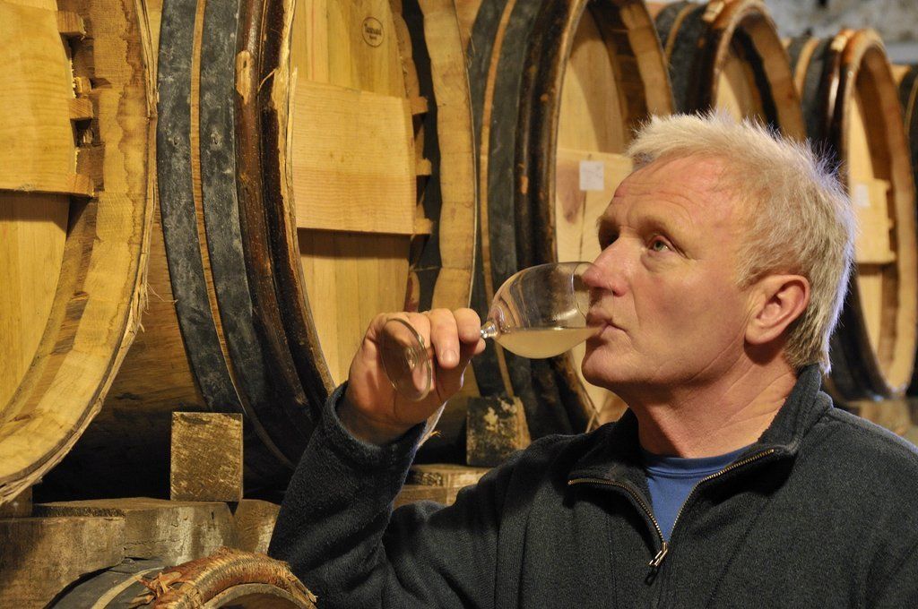 Denois winemaker sampling wine from a glass in front of wooden barrels.