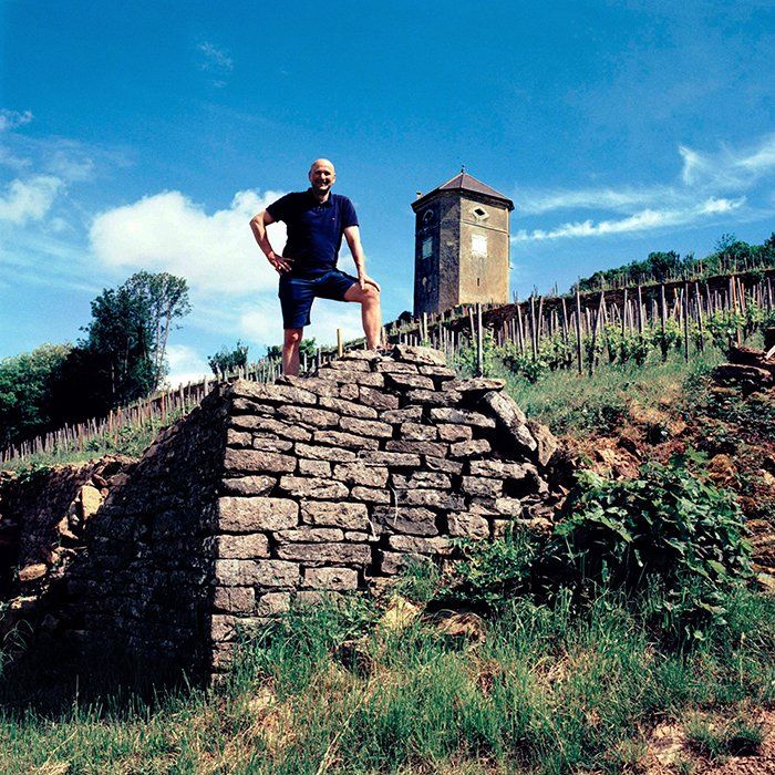 Stéphane Tissot In the vineyards Stéphane Tissot In the vineyards