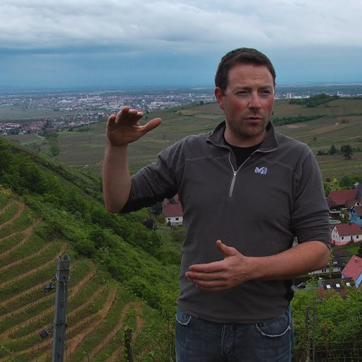Domaine Albert Boxler