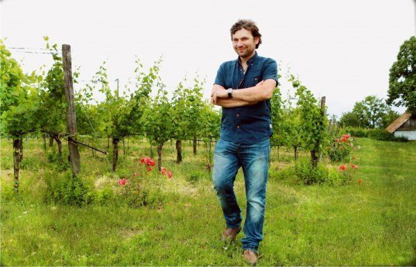 Johannes Zillinger stands in a vineyard among grapevines and grass.
