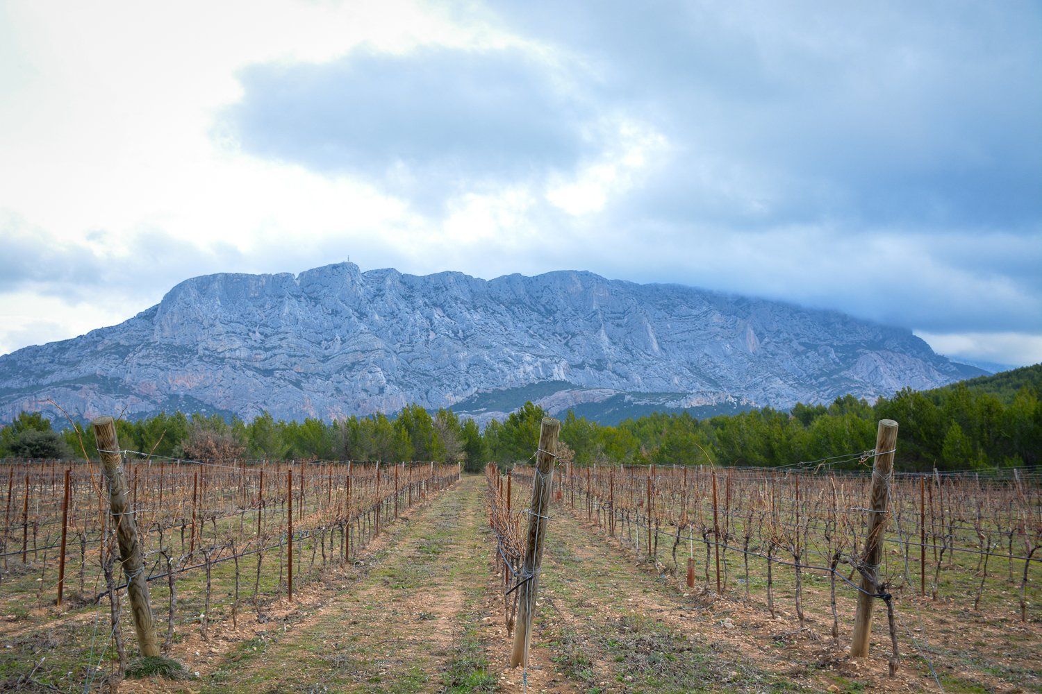 Rows of bare grapevines at Domaine des Masques stretch toward a rocky mountain under a cloudy sky.