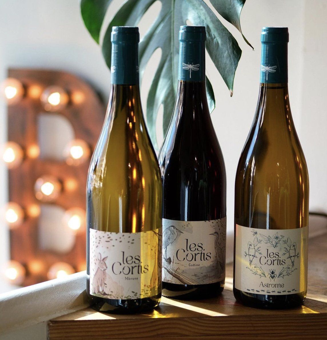 Three Domaine Les Cortis wine bottles with labels in front of a window