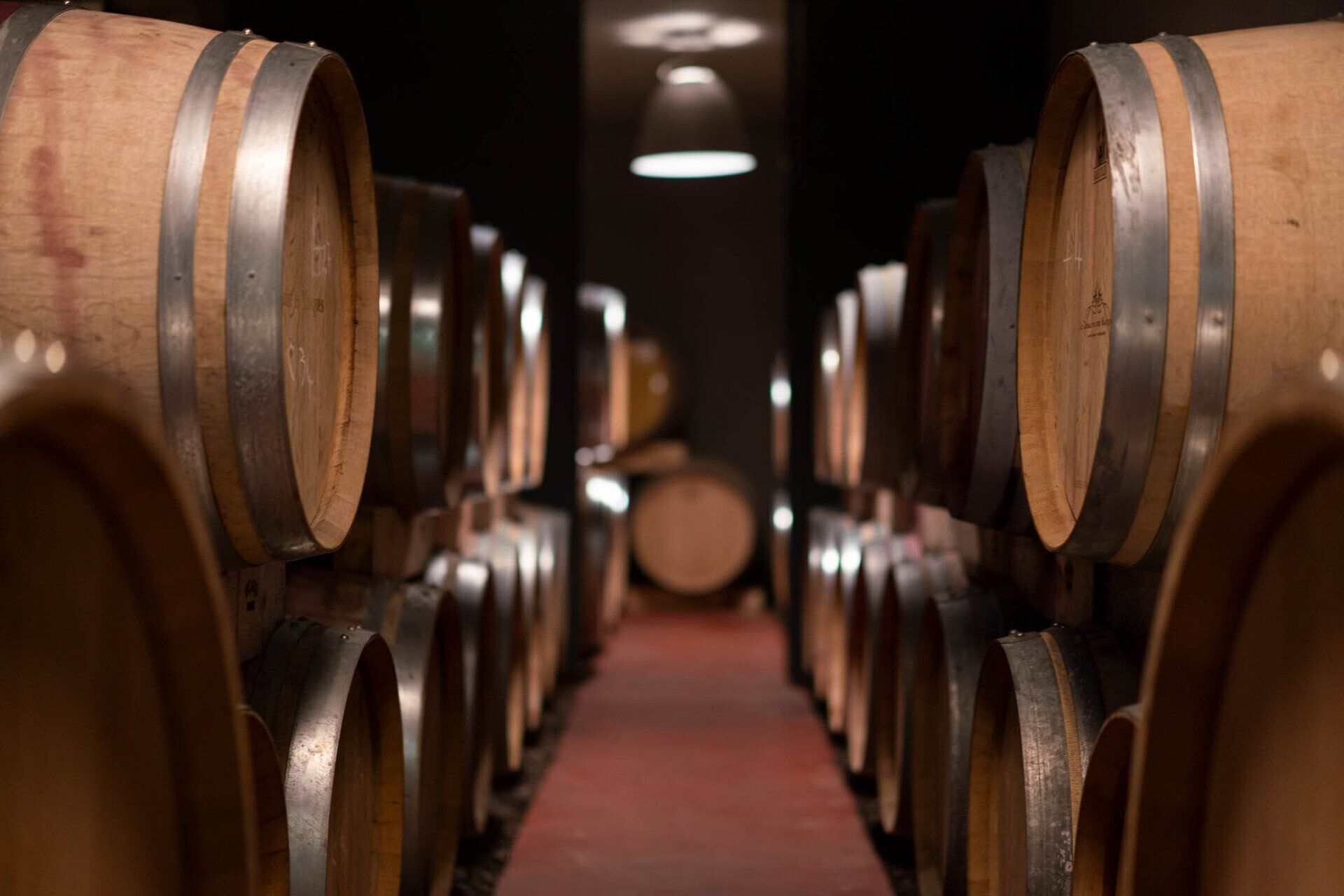 Wine barrels in a dimly lit cellar, arranged in rows.