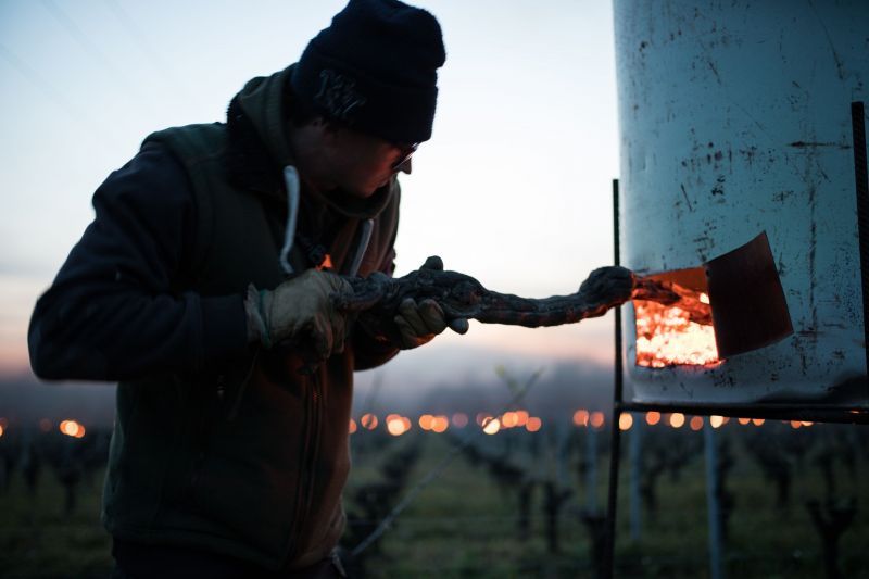 Man tending a fire in a metal heater, in Luneau Papin vineyard