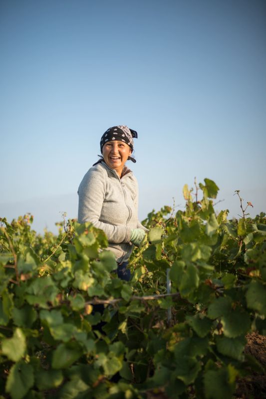Woman smiling while working in Luneau Papin vineyard