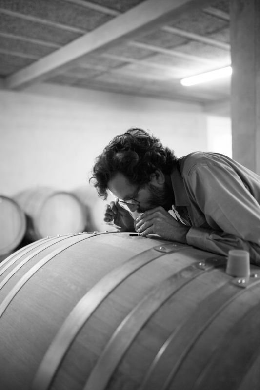 Man smelling wine from a barrel in the Luneau Papin cellar.