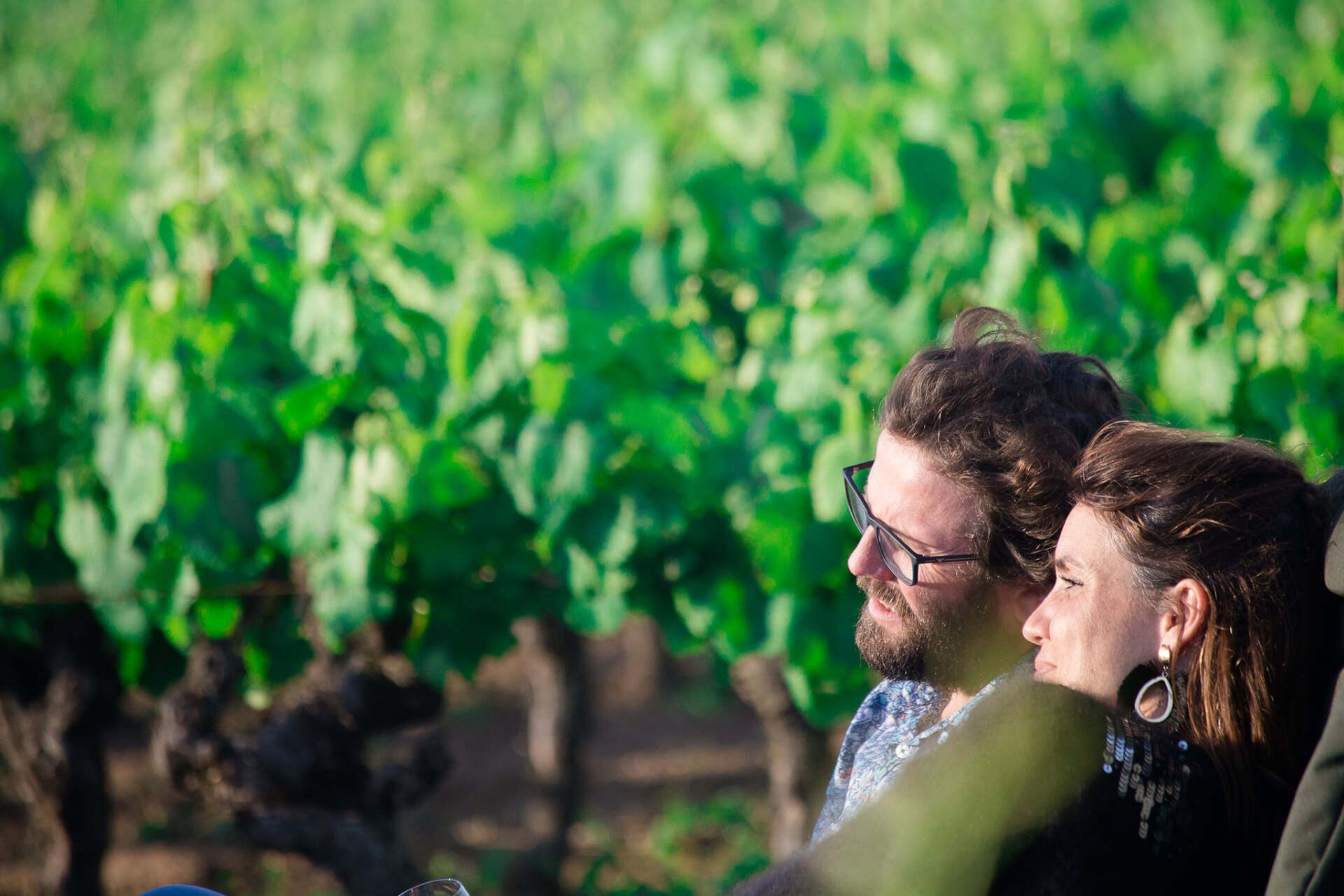 Winemakers of Luneau Papin gazing at a vineyard.