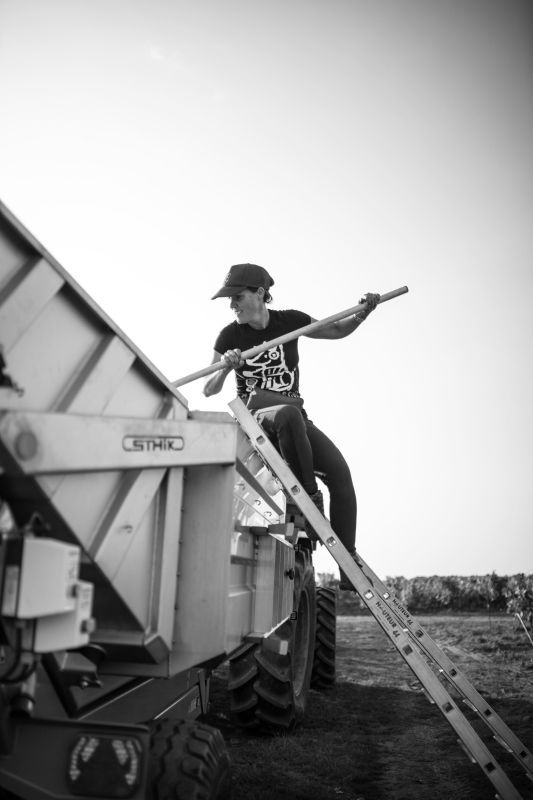 Worker on a ladder, using a tool to work inside a large farm vehicle, at Luneau Papin