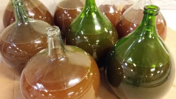 Large glass carboys filled with a brown liquid, at Luneau Papin