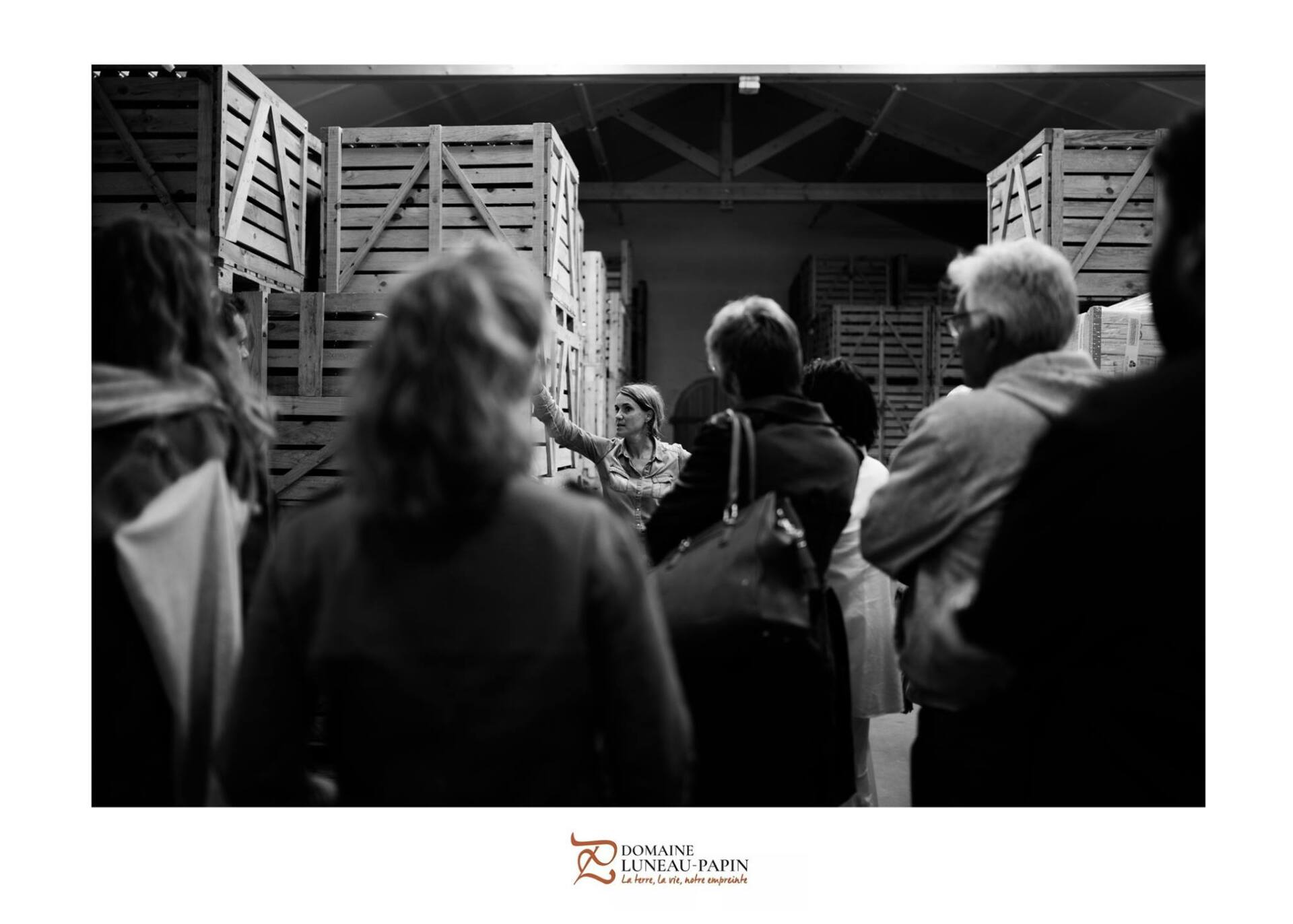 People gathered in warehouse with wooden crates, at Luneau Papin