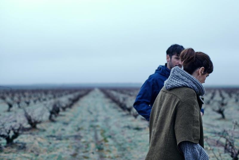 Winemakers walking through Máquina y Tabla vineyard.