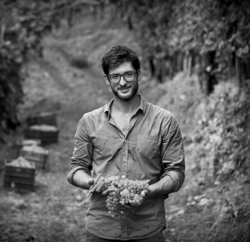 Winemaker holding grapes in a vineyard, at Château Carbonnieux