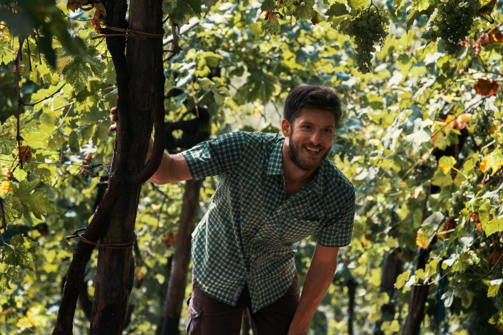 Man smiling, leaning on tree in a sunny vineyard, at Mongarda