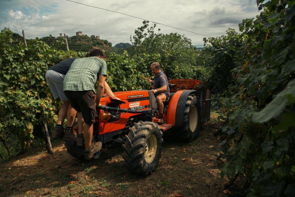 3 workers on an orange tractor in a vineyard, at Château Carbonnieux