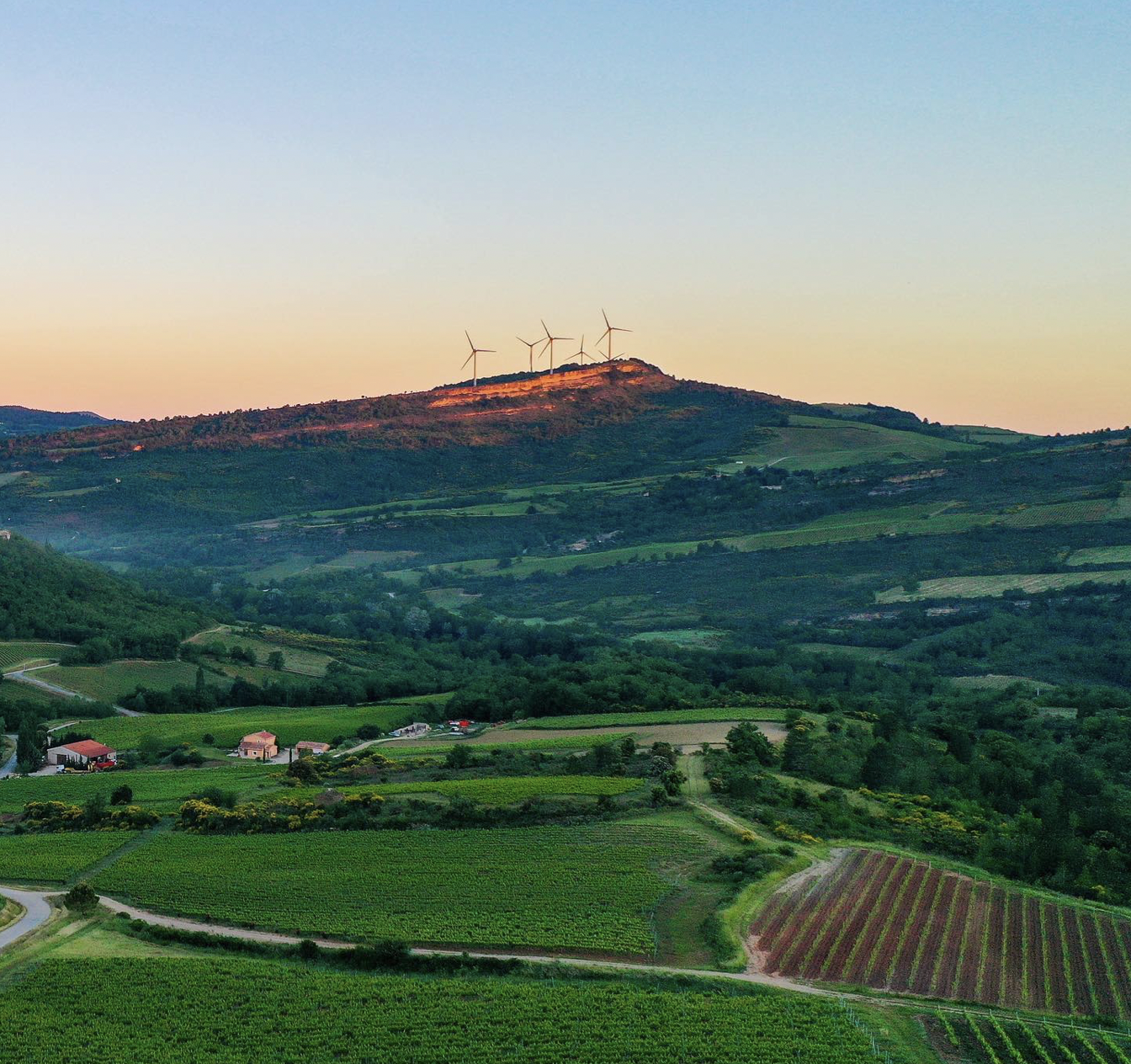 Rolling green hills at Denois vineyards, windmills atop a distant mountain.