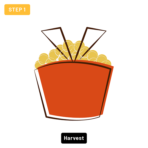 Step 1 - Harvest - Grape Basket Step 1 - Harvest - Grape Basket