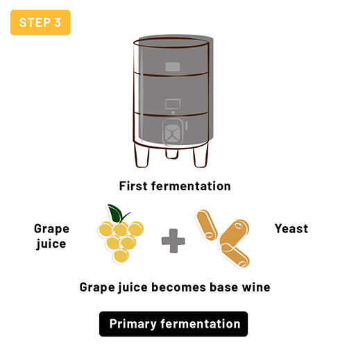 Step 3 - Primary fermentation Step 3 - Primary fermentation