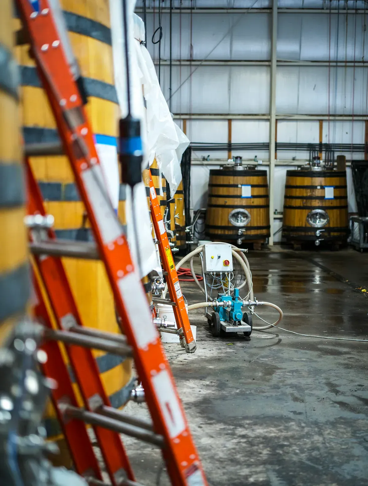 Orange ladder leaning against wooden barrels inside the Evening Land winery