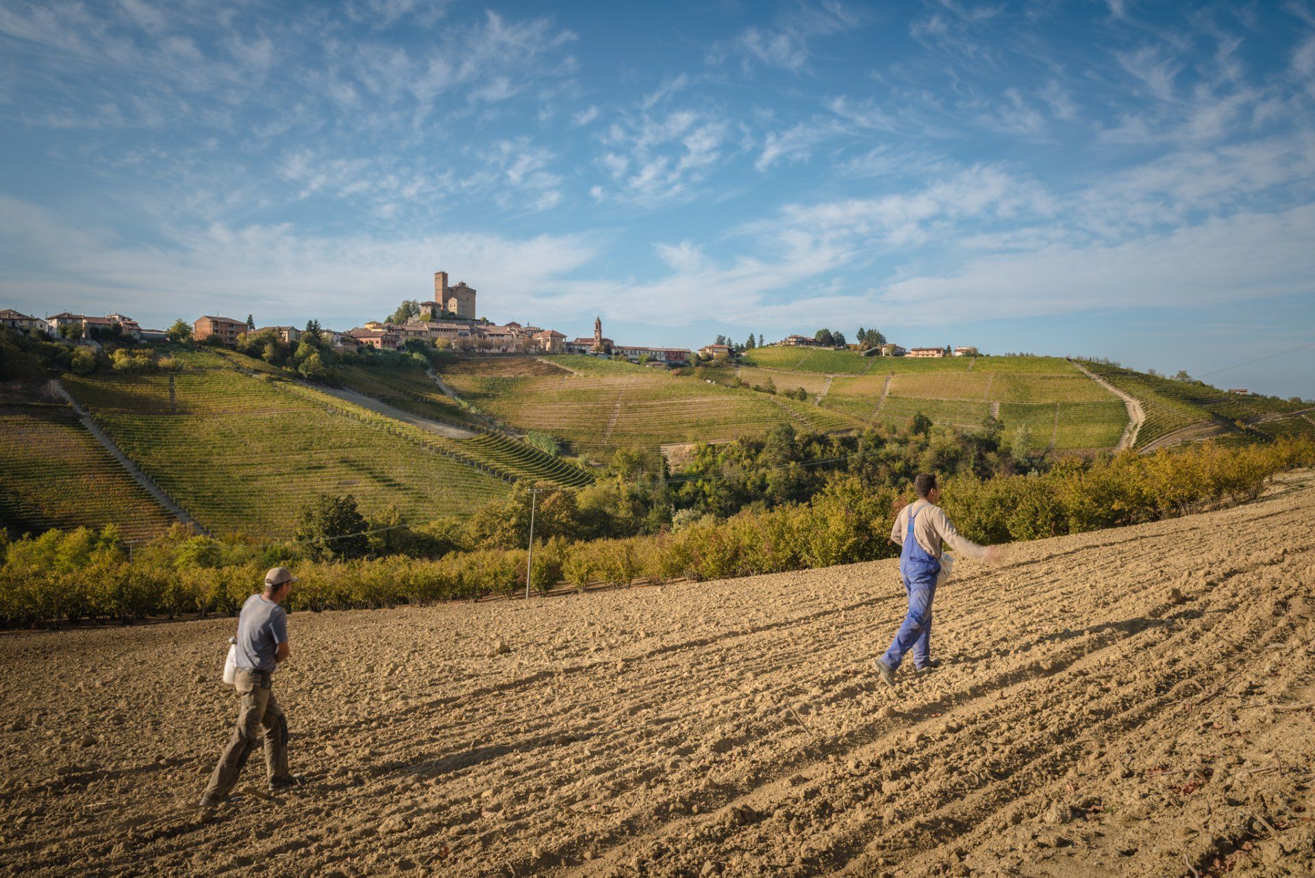 Two workers planting in a plowed field, overlooking a hillside vineyard and village, at Rivetto