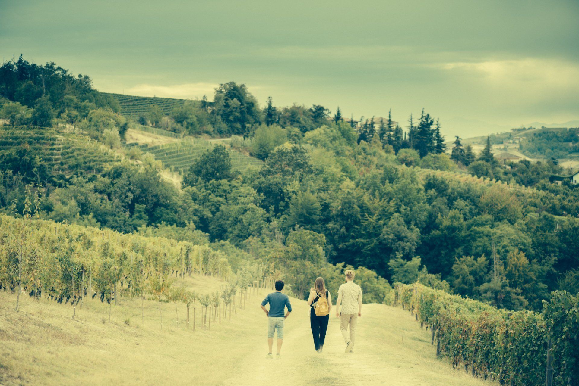 Three people walk along a dirt path through a vineyard, at Rivetto