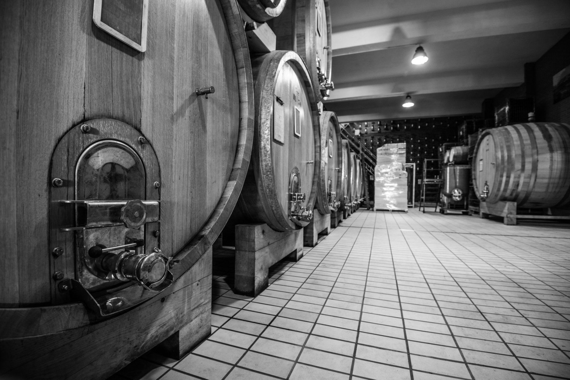 Row of wooden barrels in a cellar, some with metal fittings, at Rivetto