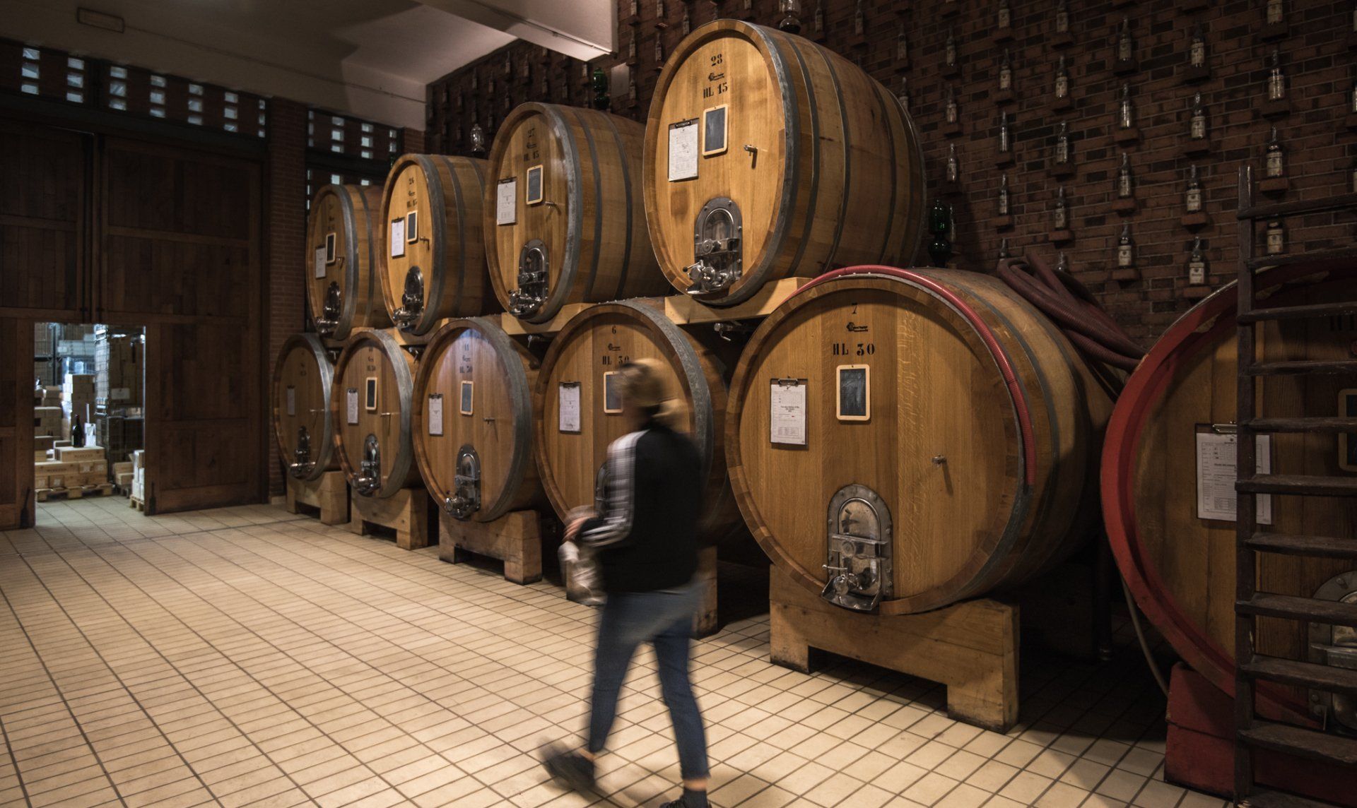 A person walks past large wooden wine barrels in a dimly lit cellar, at Rivetto.