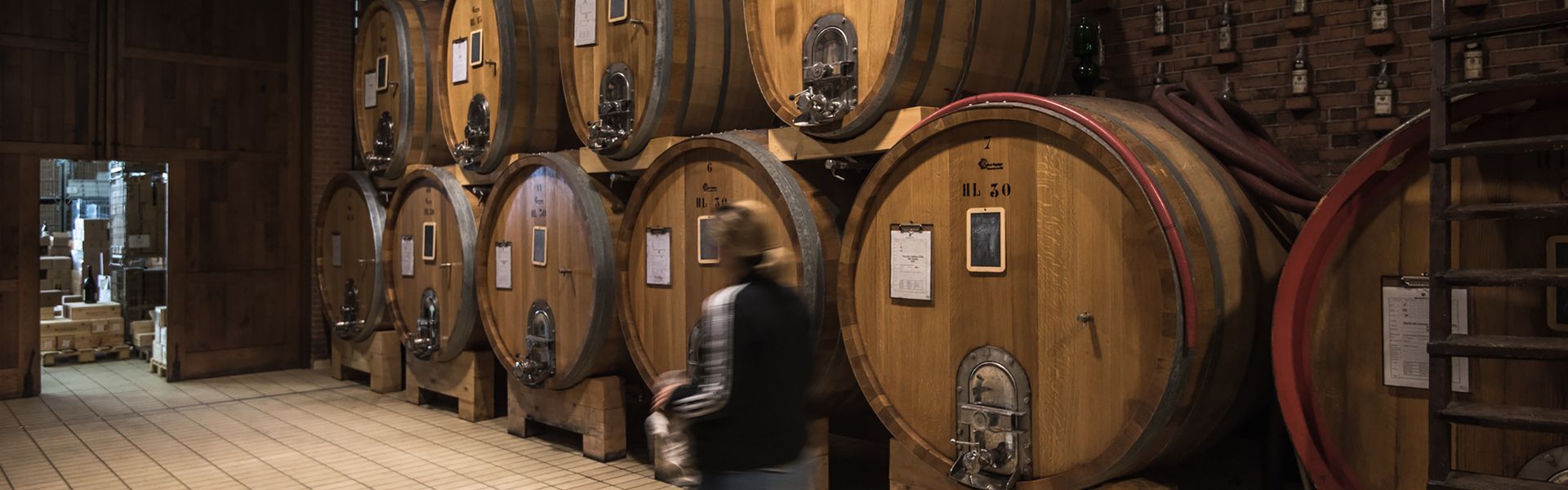 Wine cellar with rows of wooden barrels, and a person holding a bottle, at Rivetto.