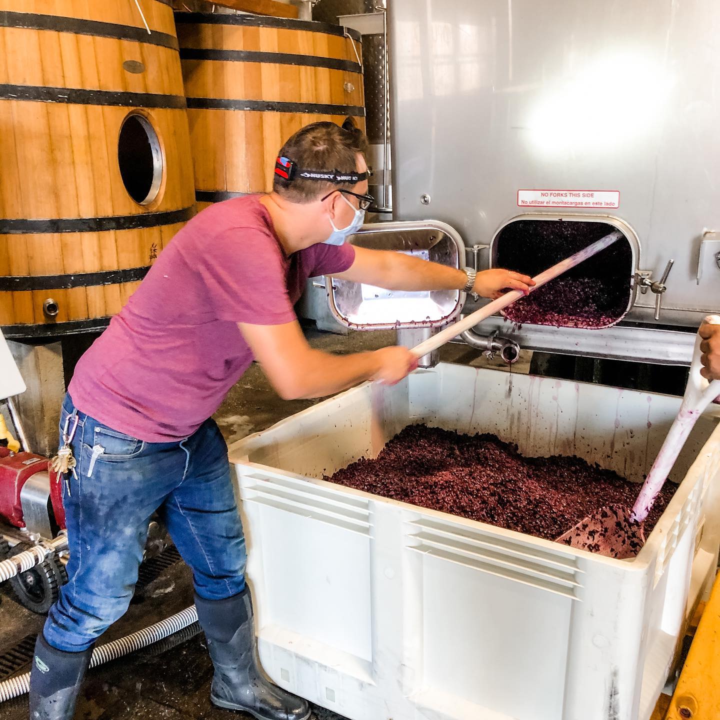 Robert Pintacsi of St. Romedius working in the winery during harvest.