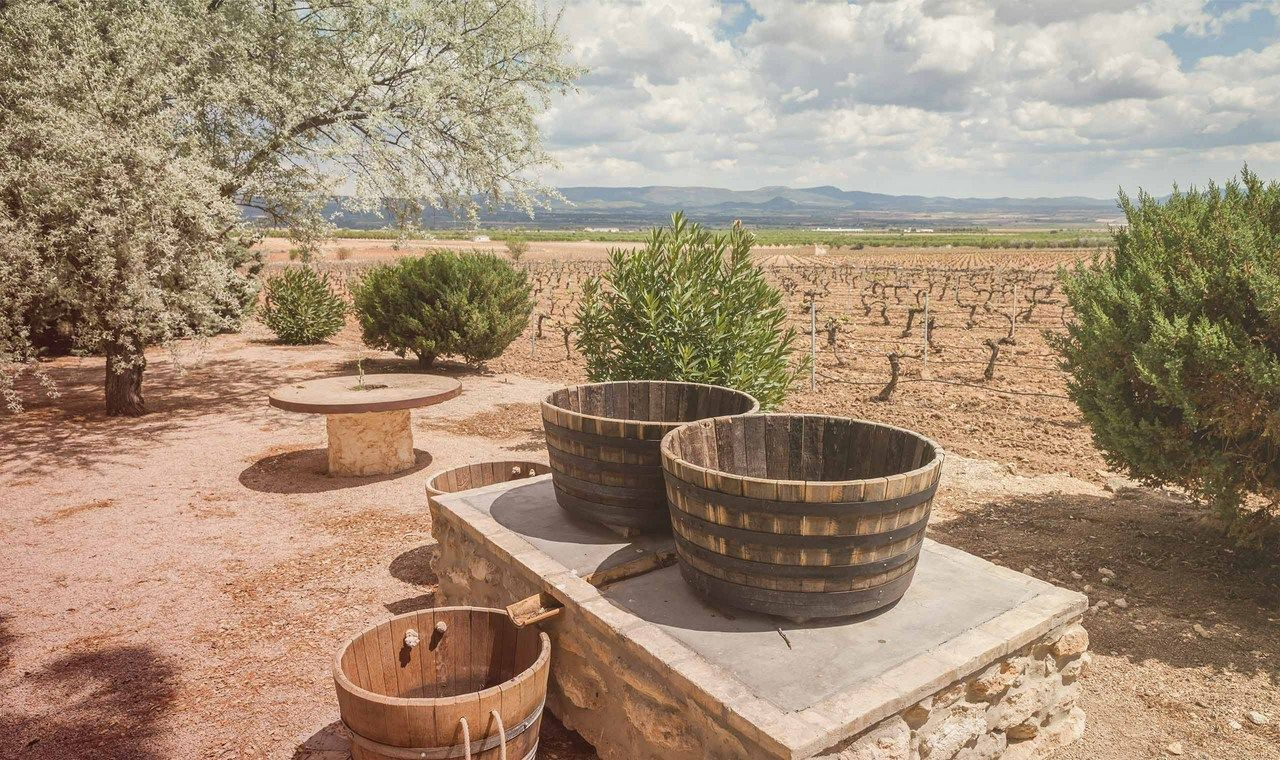 Wooden barrels on a stone platform with a vineyard in the background, at Sierra de Toloño