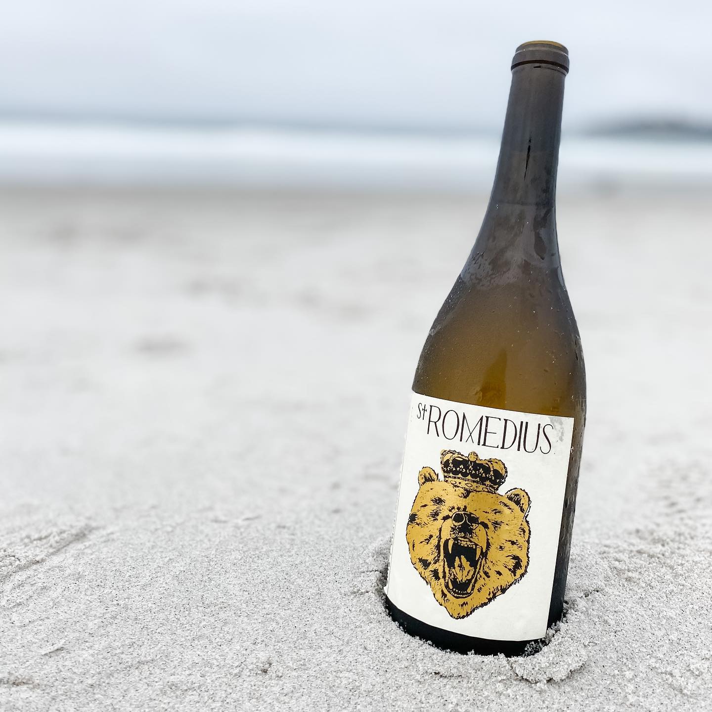 St. Romedius Chardonnay photographed on the coast in a natural setting.