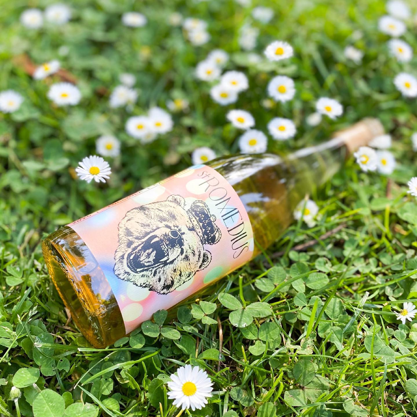 St. Romedius Lucciola white wine showcased in a natural outdoor setting.