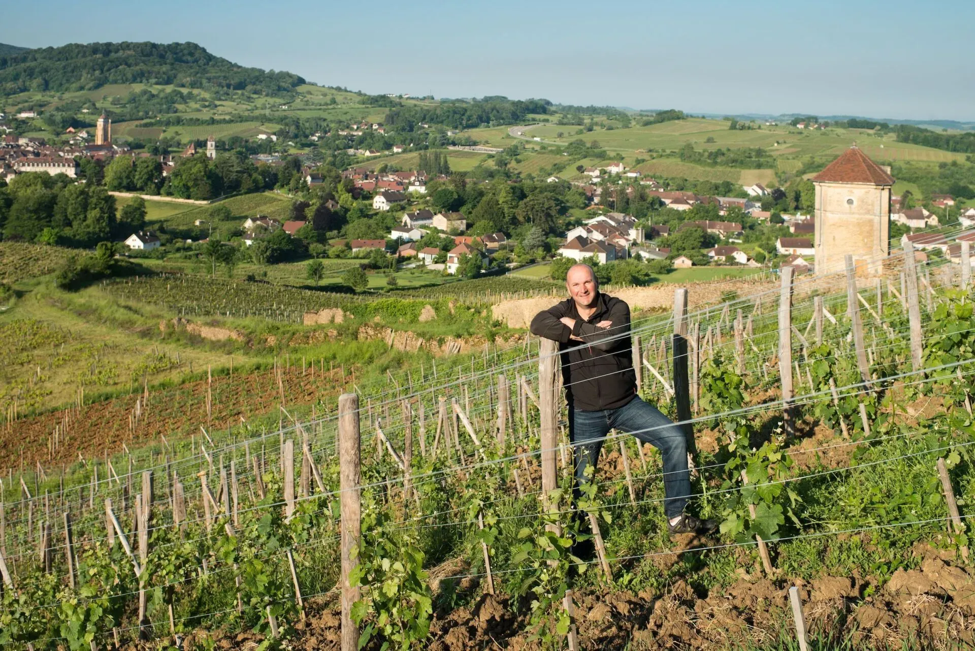 Stéphane Tissot In the vineyards Stéphane Tissot In the vineyards