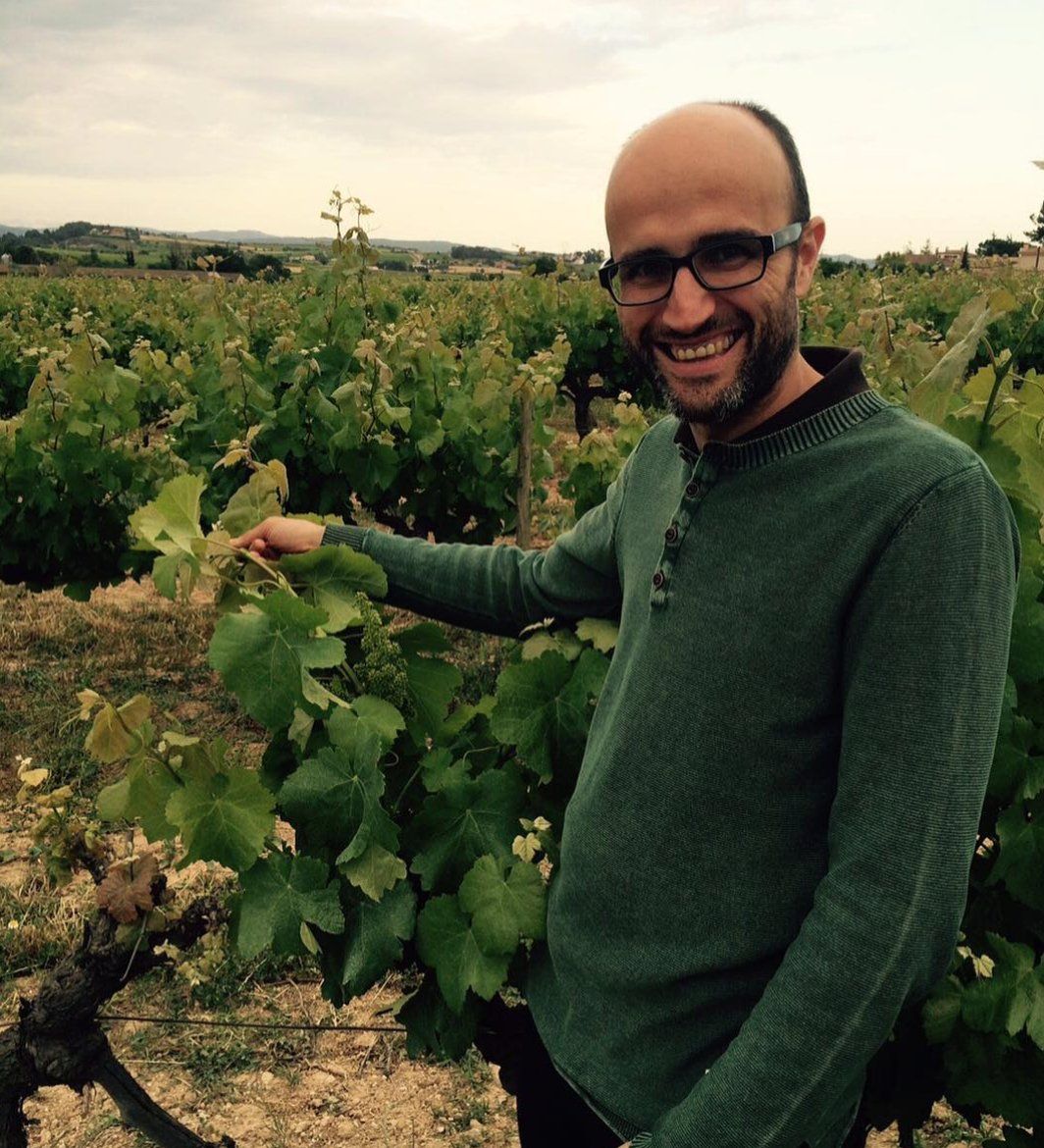 A winemaker from Suriol standing in a vineyard, holding a grapevine leaf.