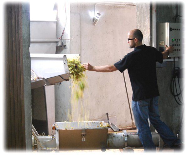 Suriol - Man in black shirt, glasses, and jeans, pouring green and yellow matter from a chute into a box.