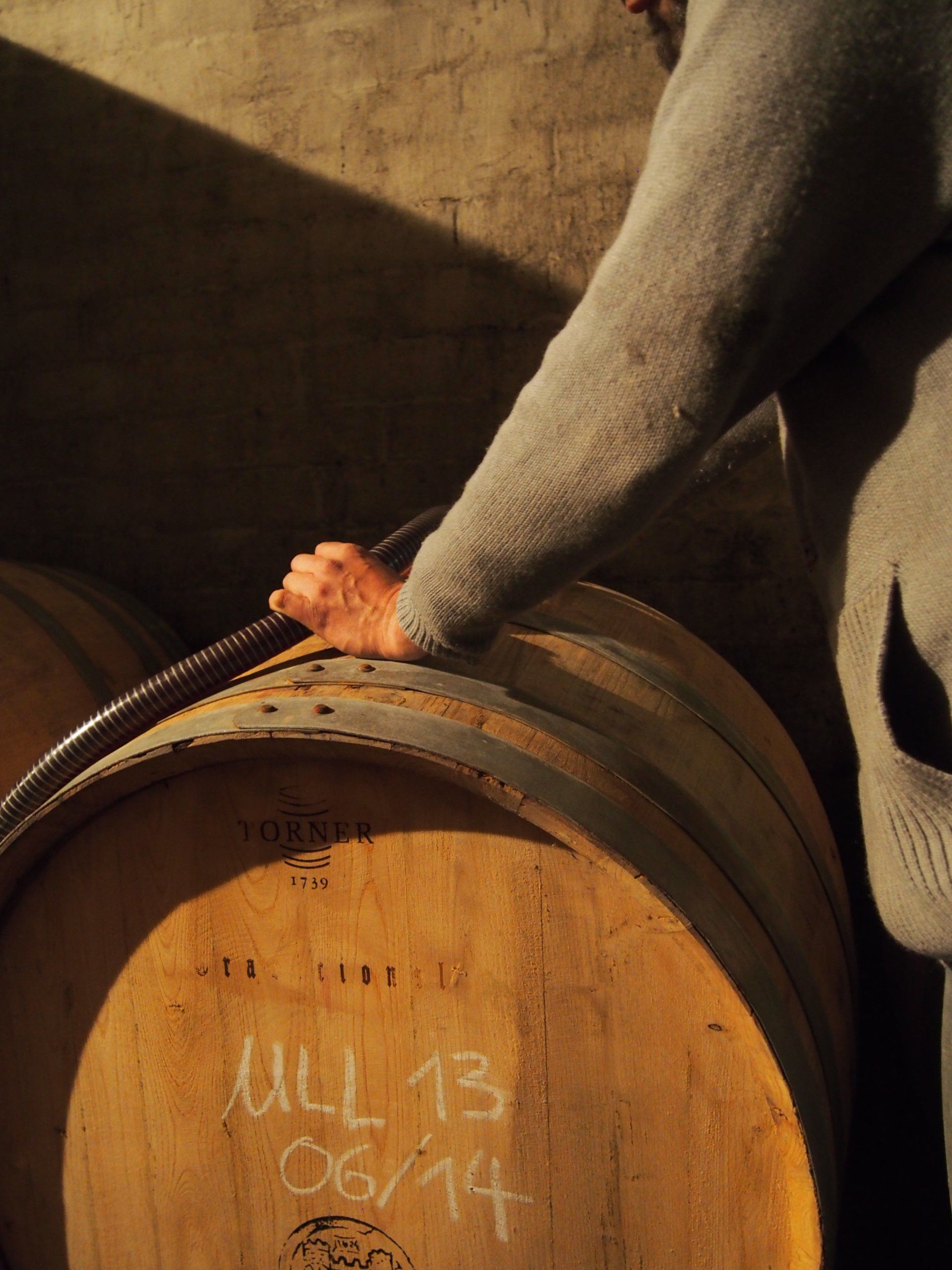 Person's hand on a wooden wine barrel in a dimly lit cellar, at Suriol winery.