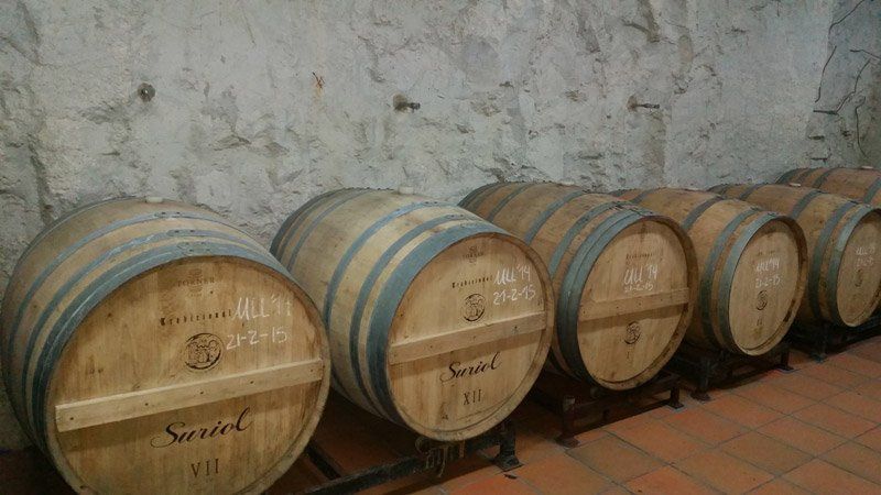 Suriol - Wine barrels in a stone-walled cellar, dimly lit.