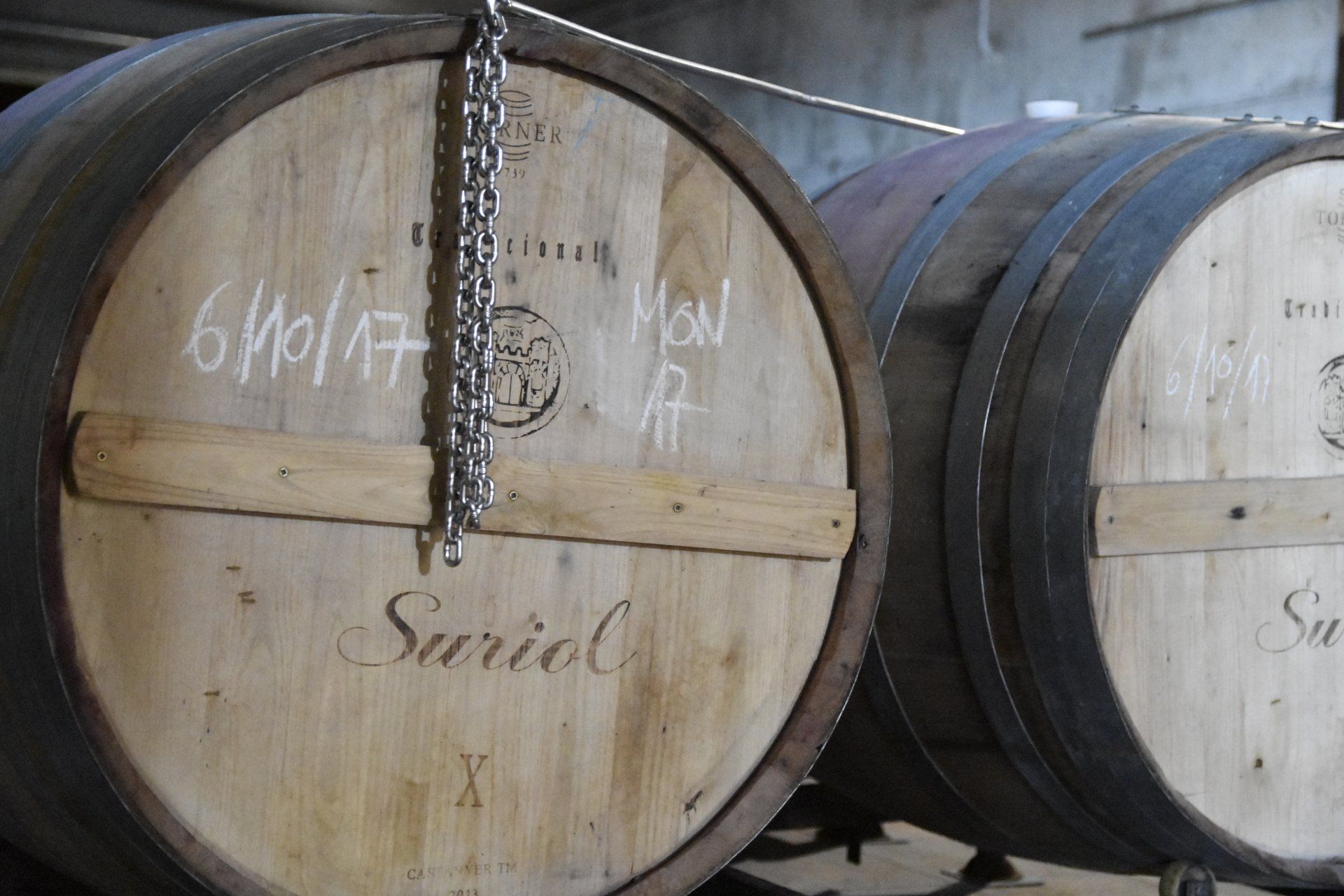 Oak barrels aging wine in the Suriol cellar.