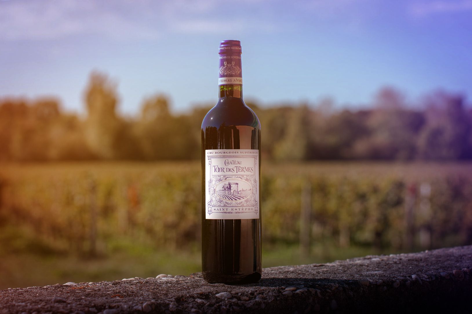 Bottle of Château Tour des Termes wine with vineyard in the background