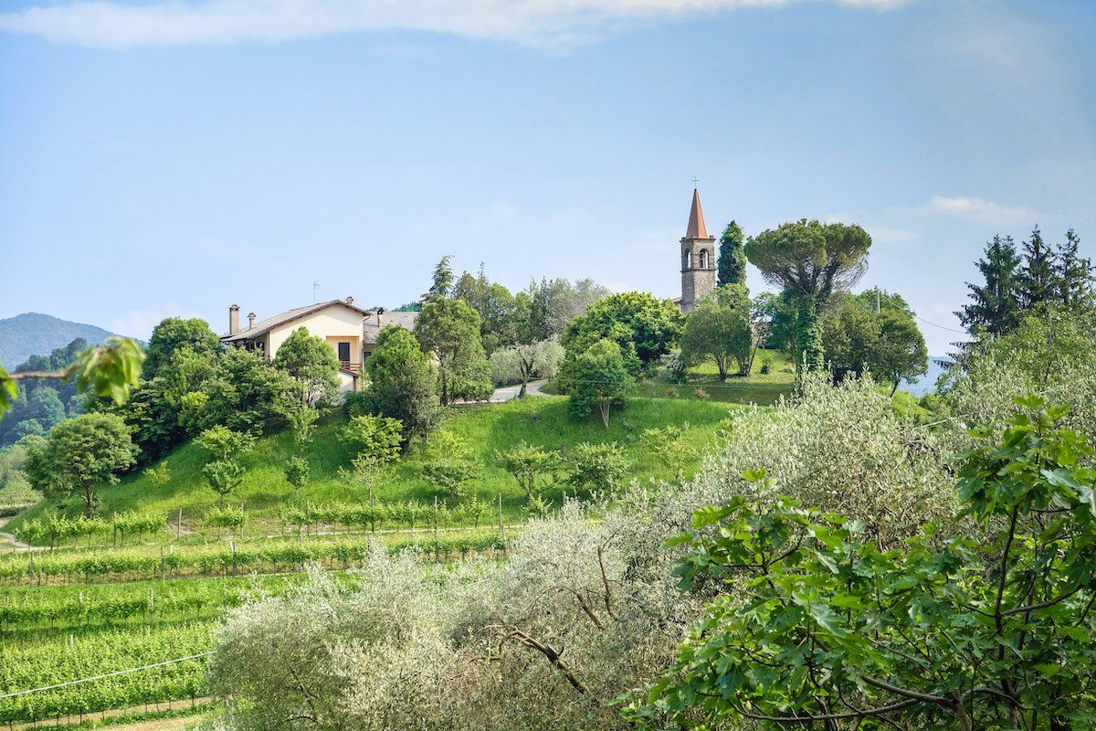 Green hillside with trees, a church steeple, and buildings.