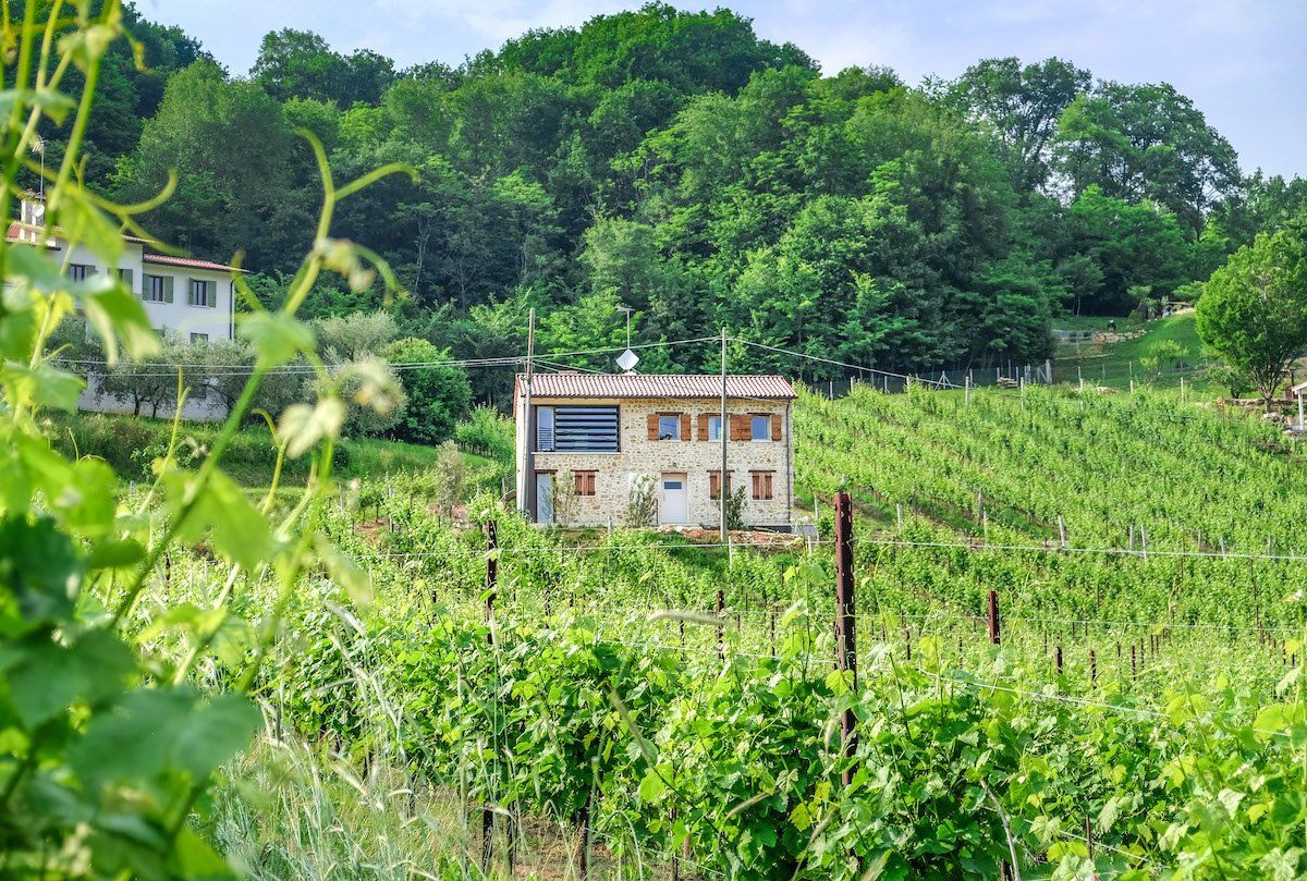 Tenuta Amadio vineyard with a stone house on a hillside, with a forest in the background.